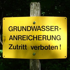 4058Bois7_2008_2297