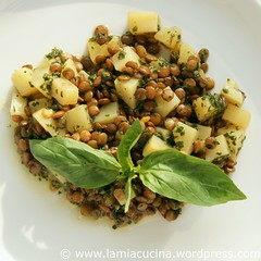 Linsen-Kartoffeln 2_2010 01 12_4667