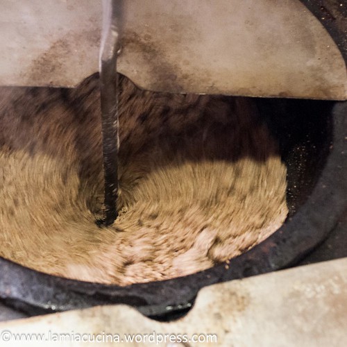 CH-1141 Sévery Moulin 2016 06 10_1317
