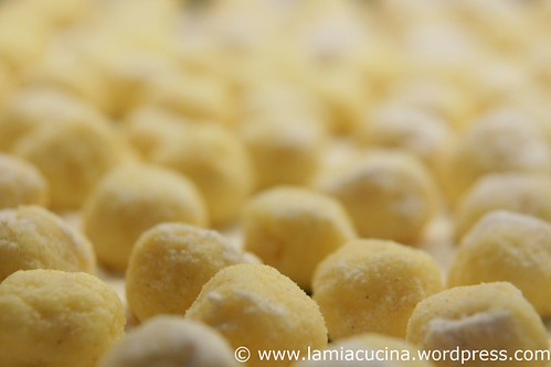 Parmesan-Gnocchi mit Pfifferlingen 0_2010 08 07_8727