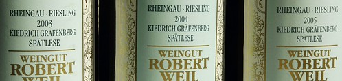 Riesling 0_2009 03 07_8917