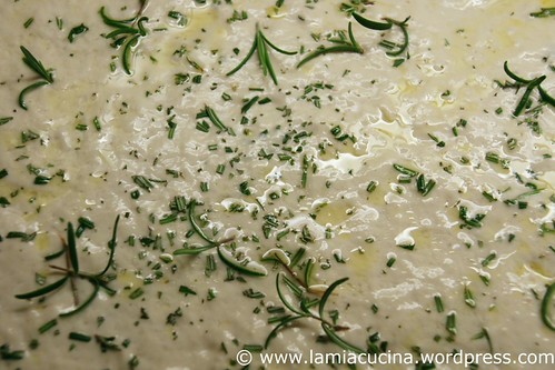 Focaccia Rosenblatt 2_2010 10 18_0314