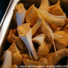 Peperonata autunnale 2_2010 08 14_8906