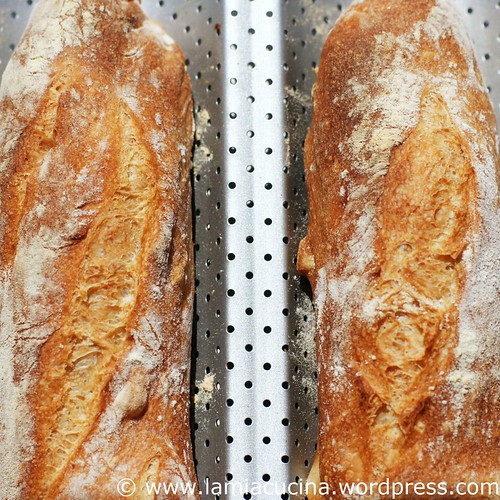 Baguette 0_2011 06 05_4041