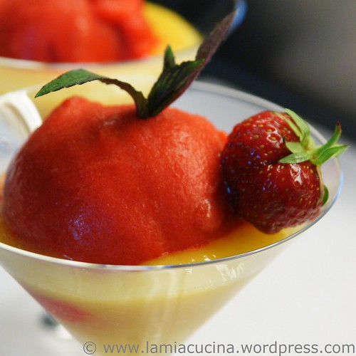 Erdbeersorbet 00_2010 06 12_7511