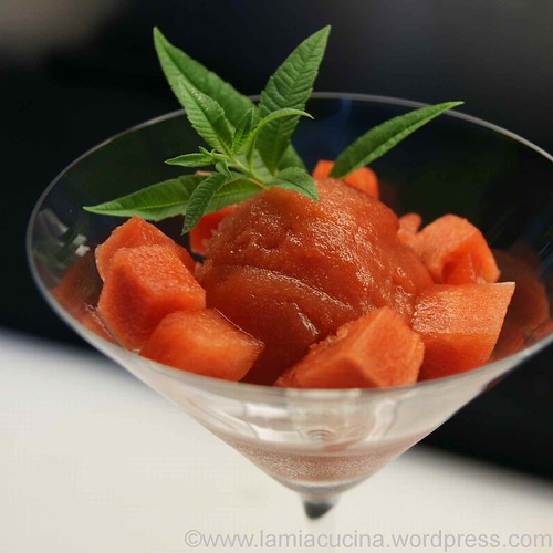 Melonensorbet 0_2012 07 27_6446