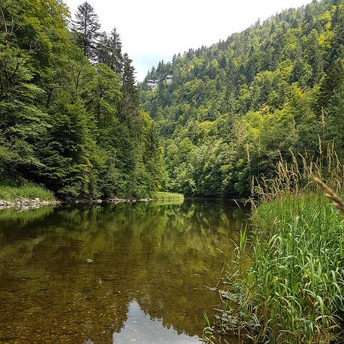 Doubs(18) 20180724_135856