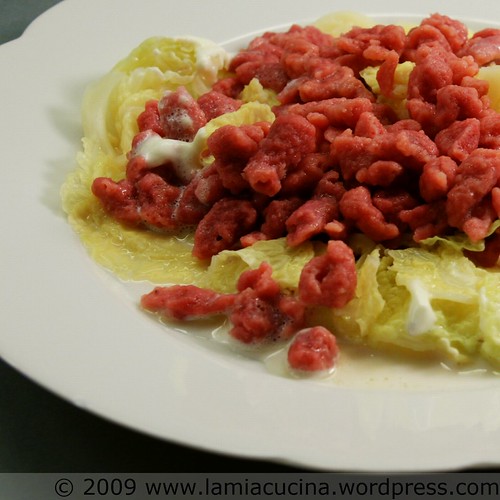 Rote Bete Gnocchi mit Wirsing 00_2009 01 10_7625