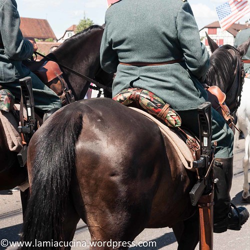 Basel Tattoo 2015 (2015 07 25_8439)