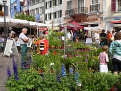 Solothurn Marktplatz