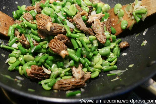 Spargel-Morchel-Pastetli 2_2012 04 05_4273