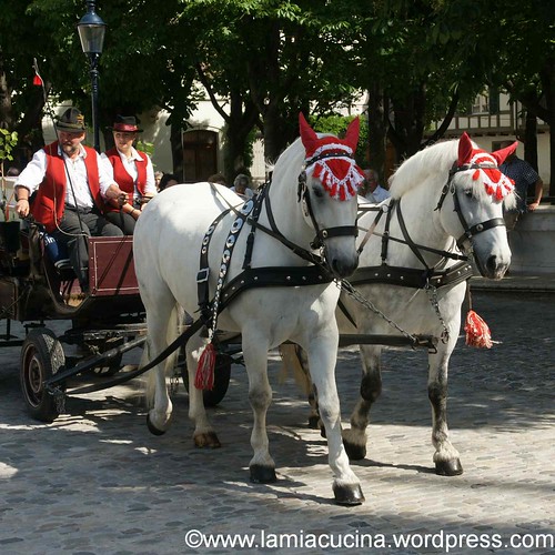 Staatswein 1_2012 06 02_5226