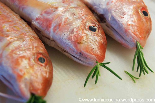 Rouget mit jungem Knoblauch 0_2012 04 19_4473