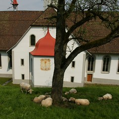 Schäferstündchen