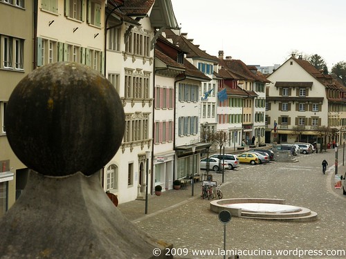 CH 6210 Sursee 0_2009 03 12_8999