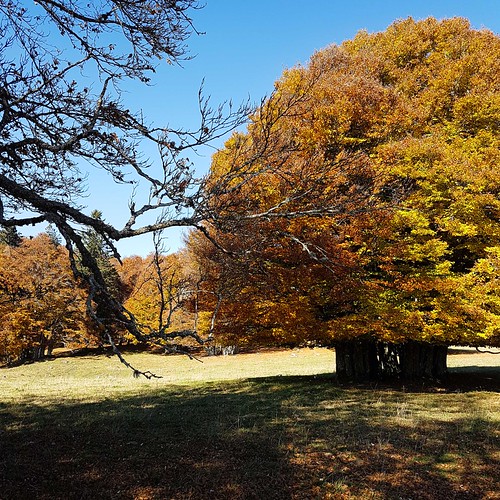 Herbst 20171014_150055