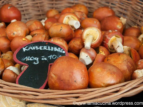 Kaiserlinge 2013 07 04_0865