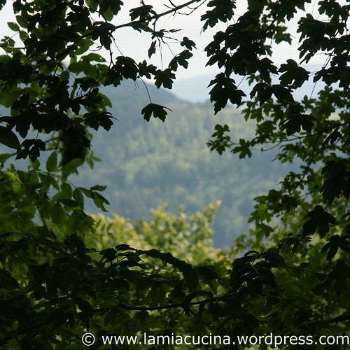 Landleben 1_2011 07 31_5261
