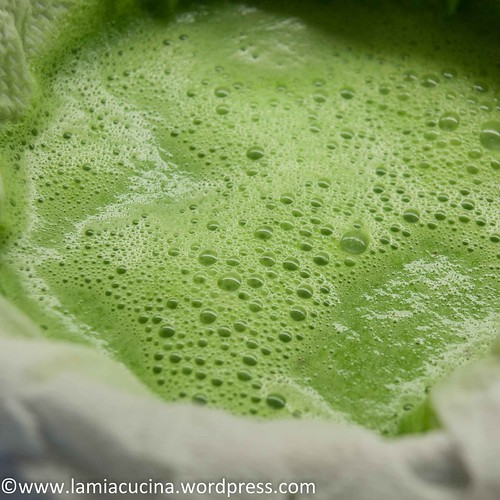 Matcha-Ravioli 2014 06 22_4525