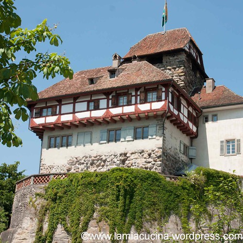 CH-8500 Frauenfeld 2013 07 01_0844