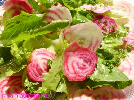 Salat aus Chioggia-Randen und Lattich