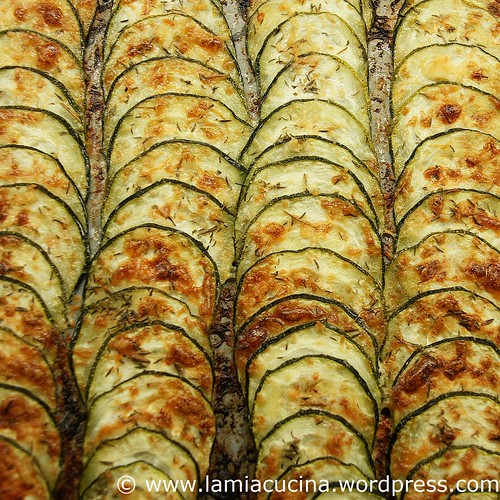 Gebackene Zucchinikeule 0_2010 07 18_8156