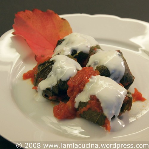 Sarmi / Dolmades mit wildem Weinblatt