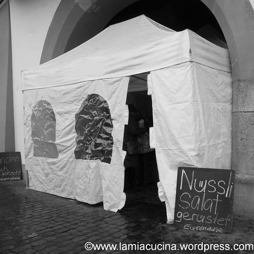 Luzern Winter-2013 01 19_9314