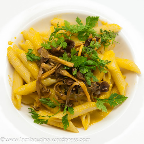 Salsa di fiori di zucca 2013 10 04_1805