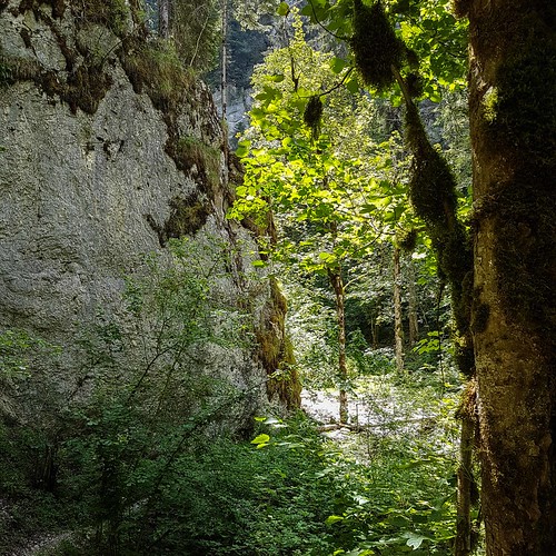 Doubs(17) 20180713_120938