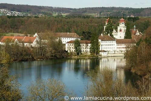 CH-8462 Rheinau 0_2011 04 01_3143