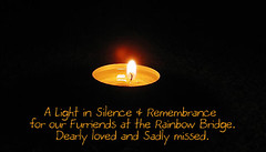 A light in Silence, Remembrance