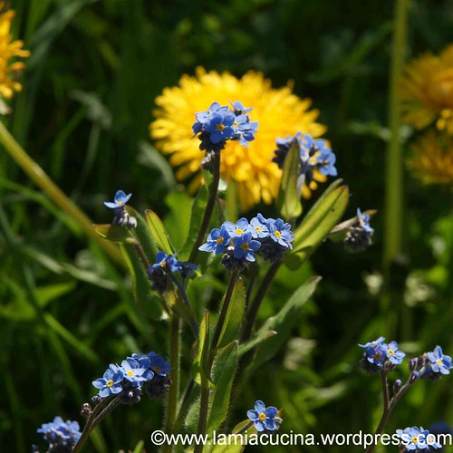 Obdachlosensuppe 3_2012 05 04_4587