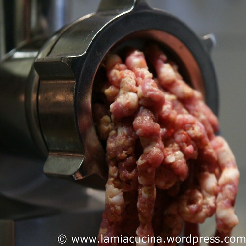 Merguez 2_2011 01 08_1454