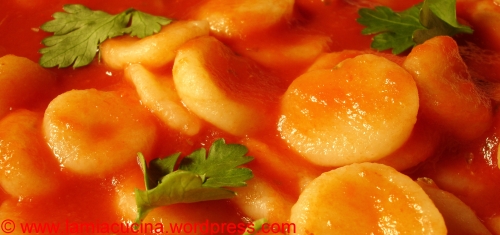 Orecchiette pomodoro