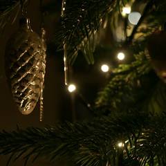 Weihnacht08 4_2008 12 20_7243