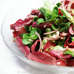 Ceriolo-Feldsalat 0_2010 03 02_5428