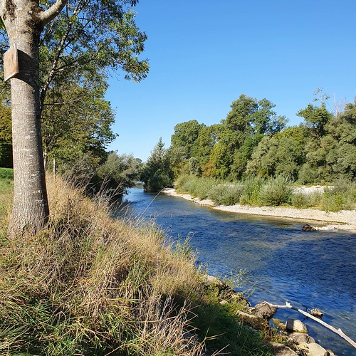 Doubs(26) 20190912_100041