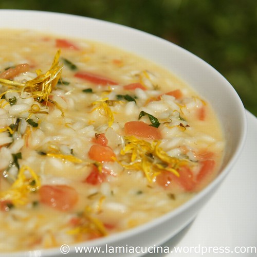 Löwenzahnrisotto 2_2010 05 24_7238