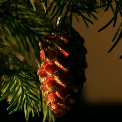 Weihnacht08 2_2008 12 20_7254
