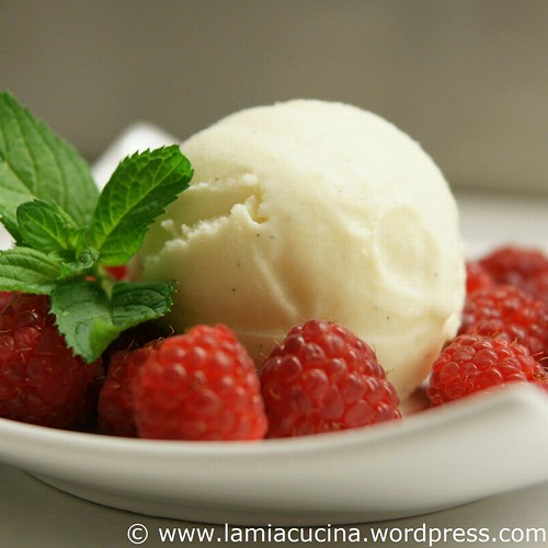 Vanille-Eiscreme 0_2010 07 06_7931