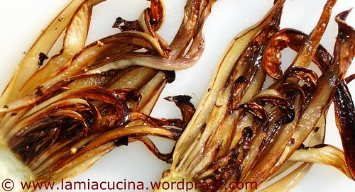 radicchio1_redc2007-12-29 002