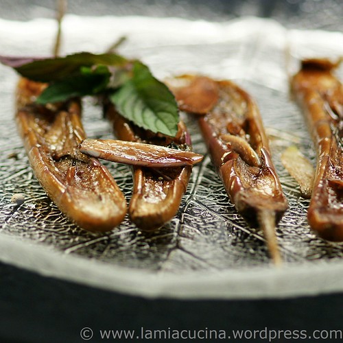 Melanzane in agro 2_2011 05 21_3827