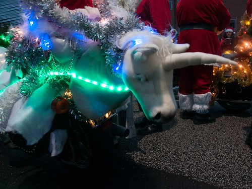 Nikolaus HD (2014 12 06_6643)