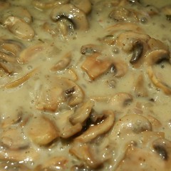 Pilz an Béchamel