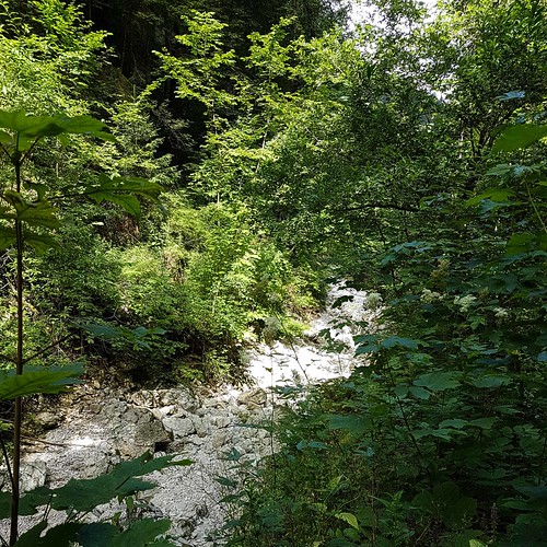 Doubs(17) 20180713_112038