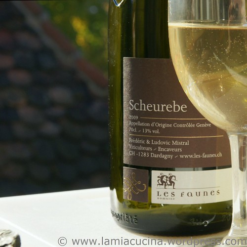 Scheurebe 0_2010 10 29_0415