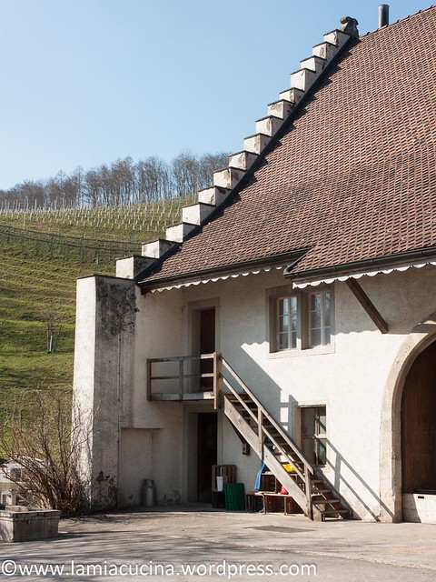 CH-5108 Schloss Kasteln 2016 03 10_0426