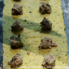 Ravioli di magro 4_2010 05 15_7034