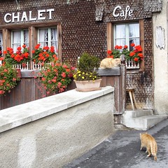 Doppelrahm-Interessenten vor Chalet